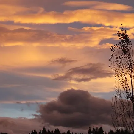 Гостевой дом Toso Genussreich