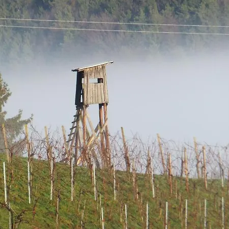 ゲストハウス Toso Genussreich 4*