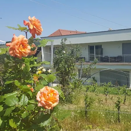 Toso Genussreich Guest house 3*
