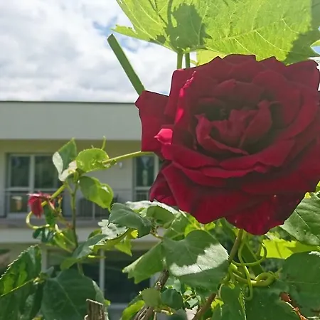 Pensión Toso Genussreich Leutschach