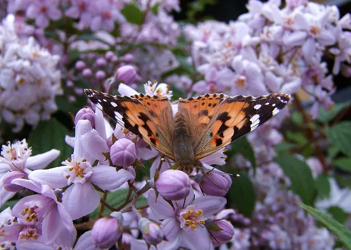 Weingut Winzerzimmer Toso