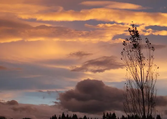 Gasthof Weingut Winzerzimmer Toso