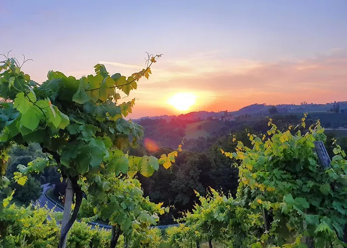Weingut Winzerzimmer Toso Leutschach