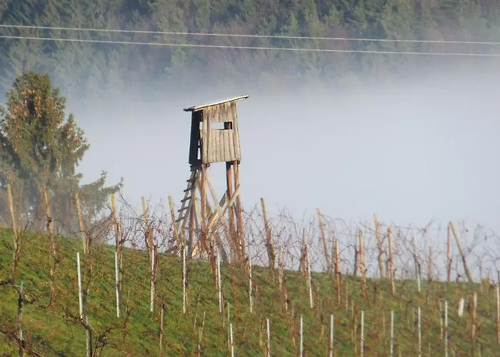 Gasthof Weingut Winzerzimmer Toso 4*