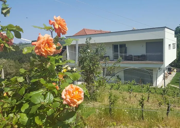 Weingut Winzerzimmer Toso Gasthof 4*