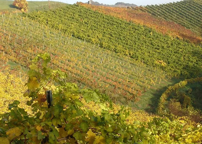 Weingut Winzerzimmer Toso Leutschach